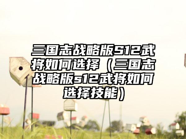 三国志战略版S12武将如何选择（三国志战略版s12武将如何选择技能）