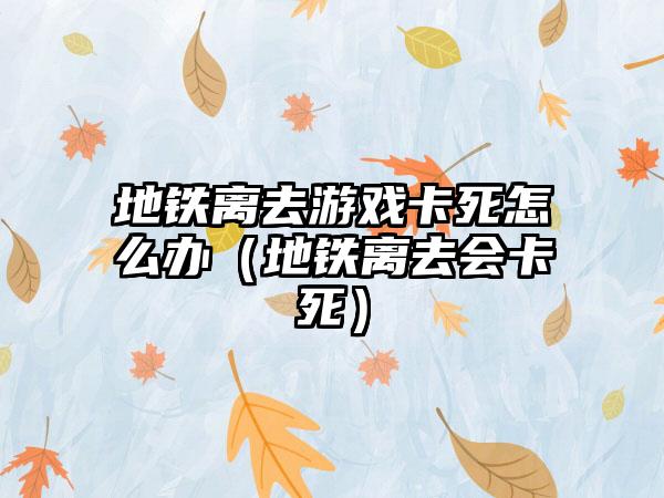 地铁离去游戏卡死怎么办（地铁离去会卡死）