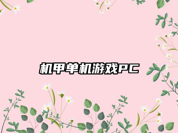 机甲单机游戏PC