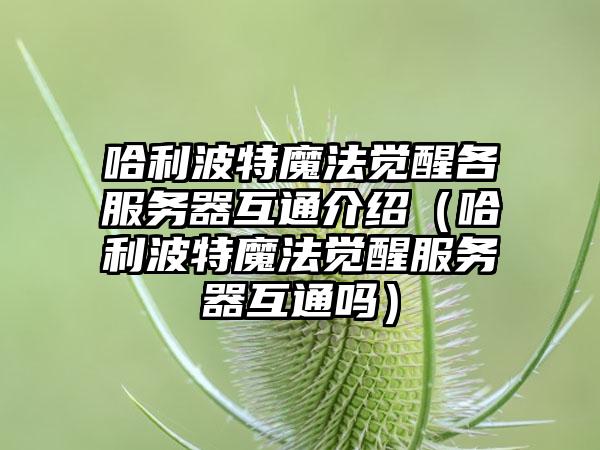 哈利波特魔法觉醒各服务器互通介绍（哈利波特魔法觉醒服务器互通吗）