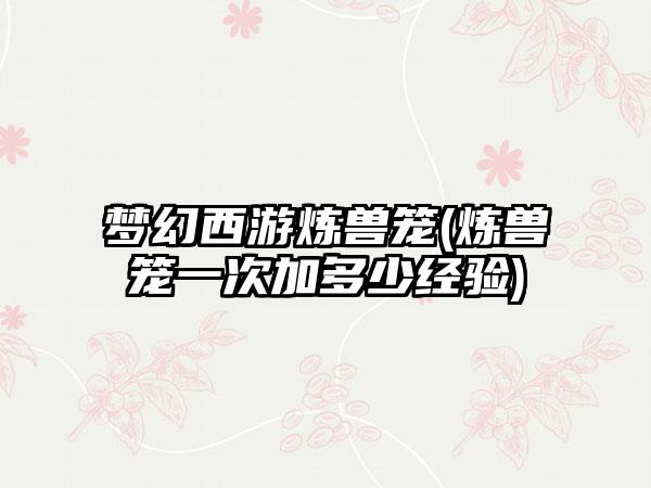 梦幻西游炼兽笼(炼兽笼一次加多少经验)