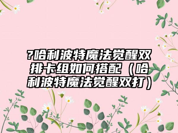 ?哈利波特魔法觉醒双排卡组如何搭配（哈利波特魔法觉醒双打）