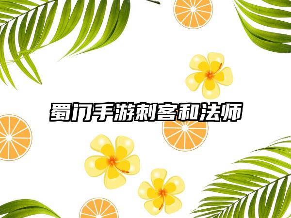 蜀门手游刺客和法师