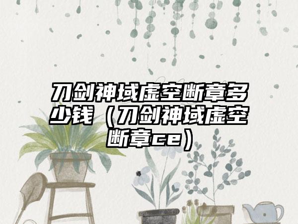 刀剑神域虚空断章多少钱（刀剑神域虚空断章ce）