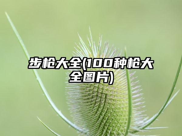 步枪大全(100种枪大全图片)