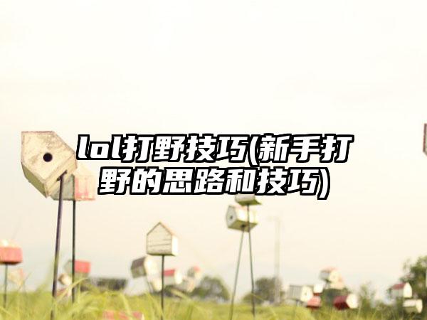 lol打野技巧(新手打野的思路和技巧)