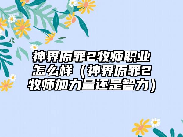神界原罪2牧师职业怎么样（神界原罪2牧师加力量还是智力）