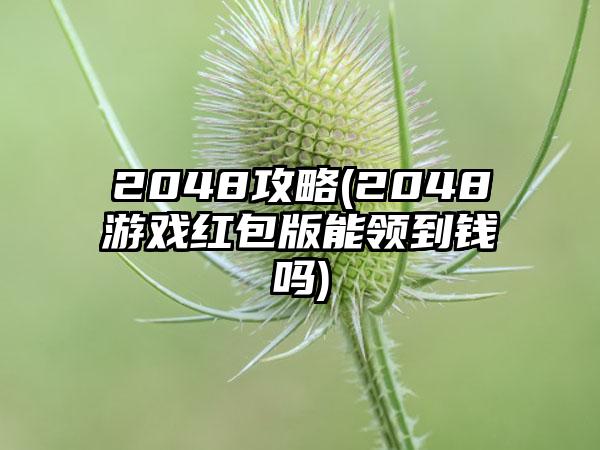 2048攻略(2048游戏红包版能领到钱吗)