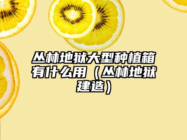 丛林地狱大型种植箱有什么用（丛林地狱建造）