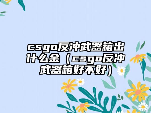 csgo反冲武器箱出什么金（csgo反冲武器箱好不好）