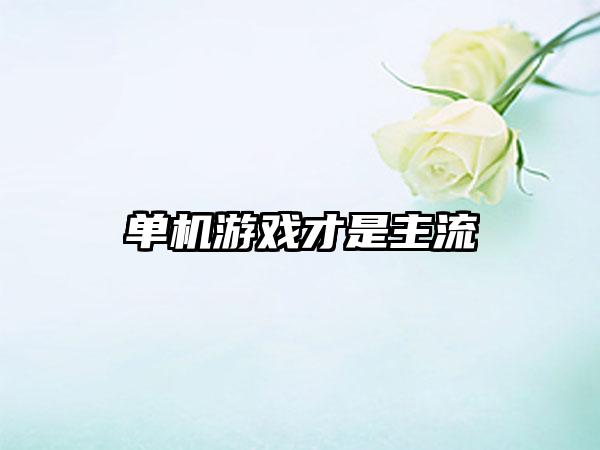 单机游戏才是主流