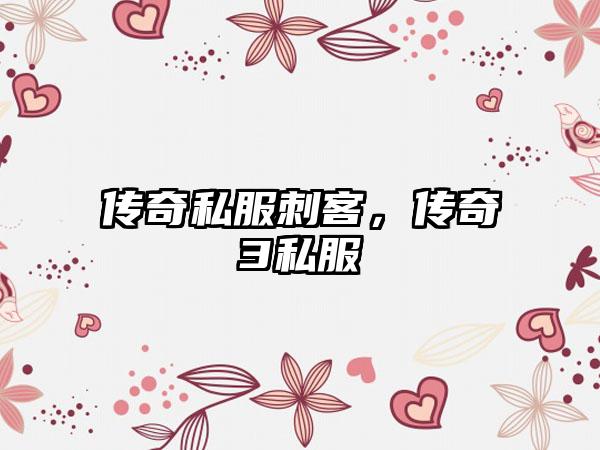 传奇私服刺客，传奇3私服