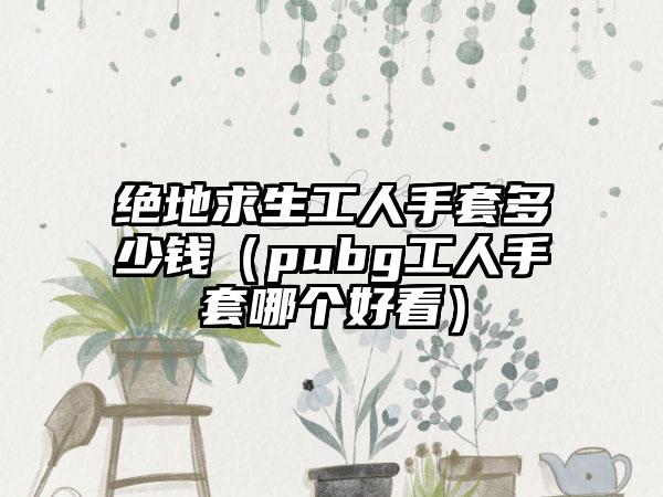 绝地求生工人手套多少钱（pubg工人手套哪个好看）