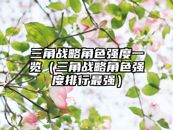 三角战略角色强度一览（三角战略角色强度排行最强）