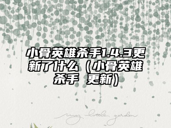 小骨英雄杀手1.4.3更新了什么（小骨英雄杀手 更新）