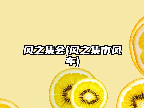 风之集会(风之集市风车)