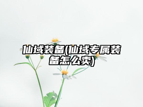 仙域装备(仙域专属装备怎么卖)