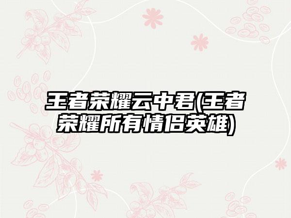 王者荣耀云中君(王者荣耀所有情侣英雄)