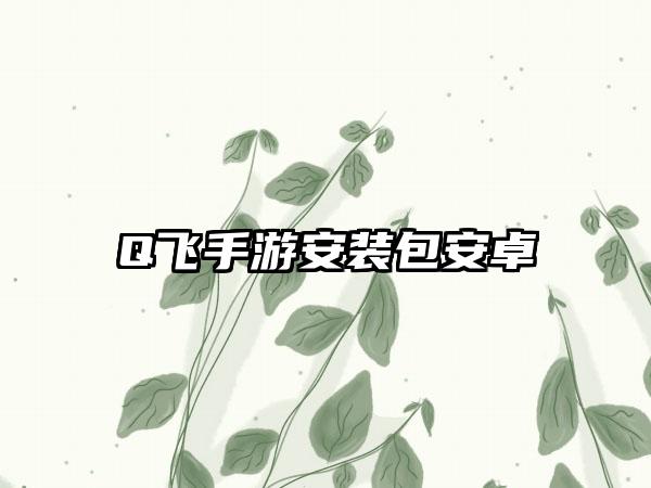 Q飞手游安装包安卓