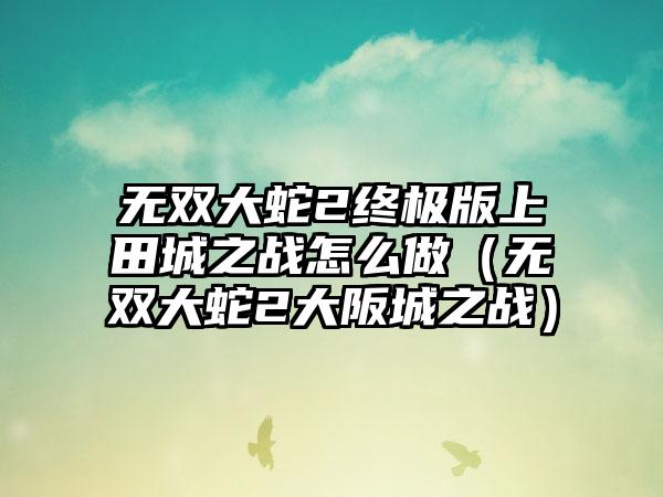无双大蛇2终极版上田城之战怎么做（无双大蛇2大阪城之战）