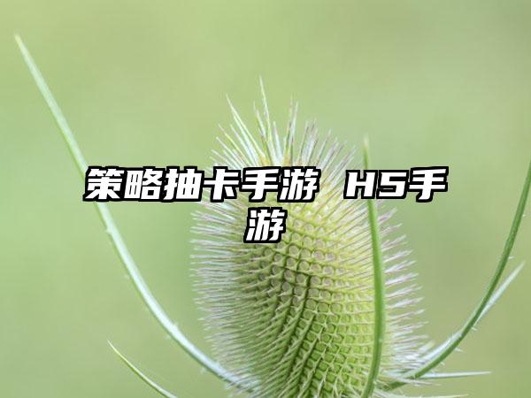 策略抽卡手游 H5手游