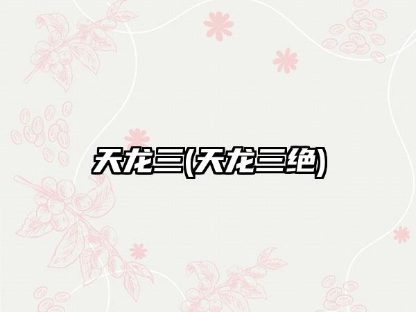 天龙三(天龙三绝)