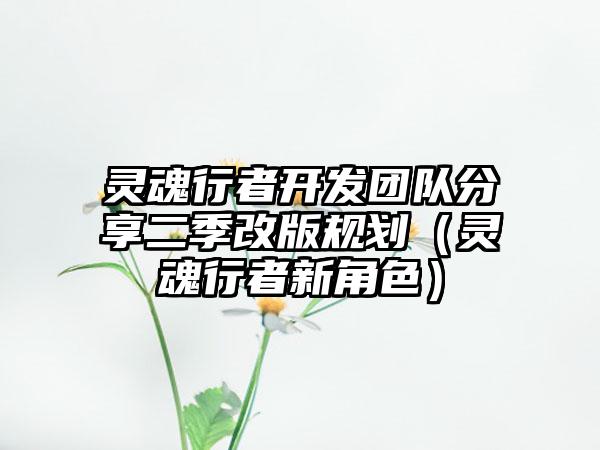灵魂行者开发团队分享二季改版规划（灵魂行者新角色）
