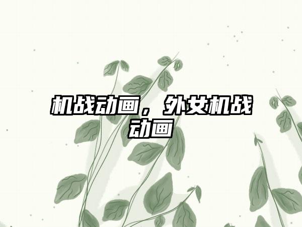 机战动画，外女机战动画