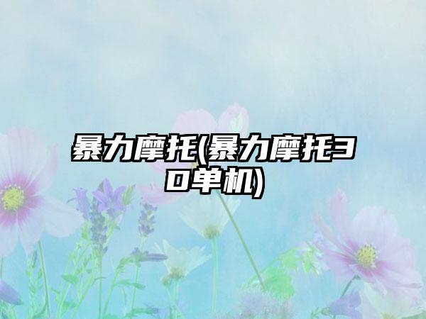 暴力摩托(暴力摩托3D单机)