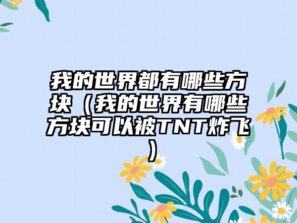 我的世界都有哪些方块（我的世界有哪些方块可以被TNT炸飞）