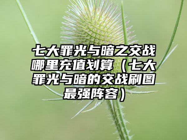 七大罪光与暗之交战哪里充值划算（七大罪光与暗的交战刷图最强阵容）