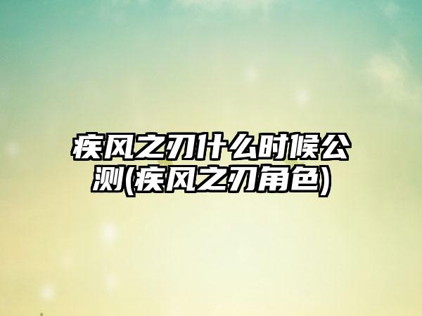 疾风之刃什么时候公测(疾风之刃角色)