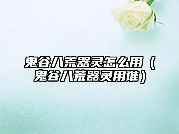鬼谷八荒器灵怎么用（鬼谷八荒器灵用谁）