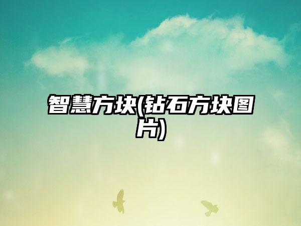 智慧方块(钻石方块图片)