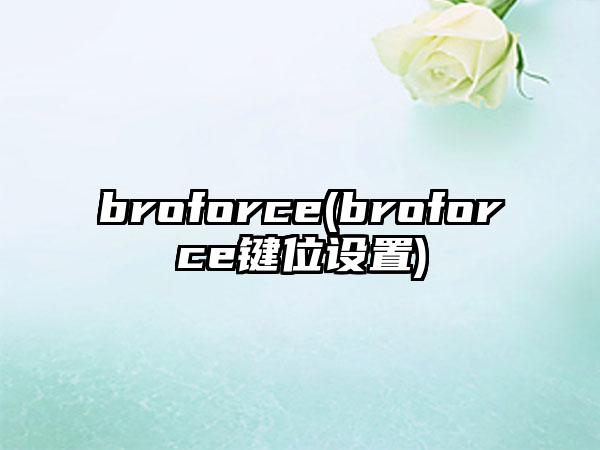 broforce(broforce键位设置)