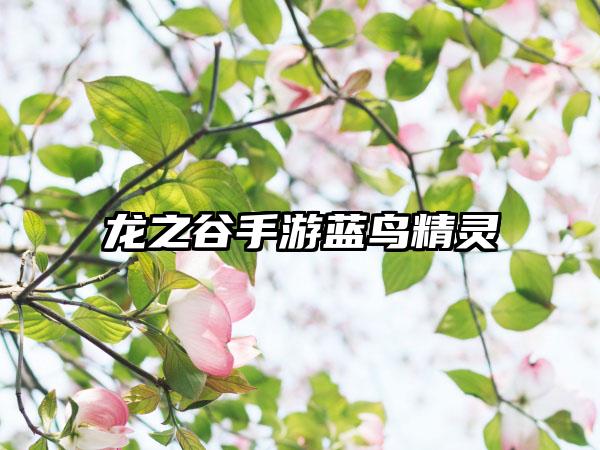 龙之谷手游蓝鸟精灵