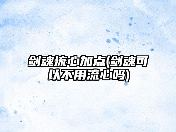 剑魂流心加点(剑魂可以不用流心吗)