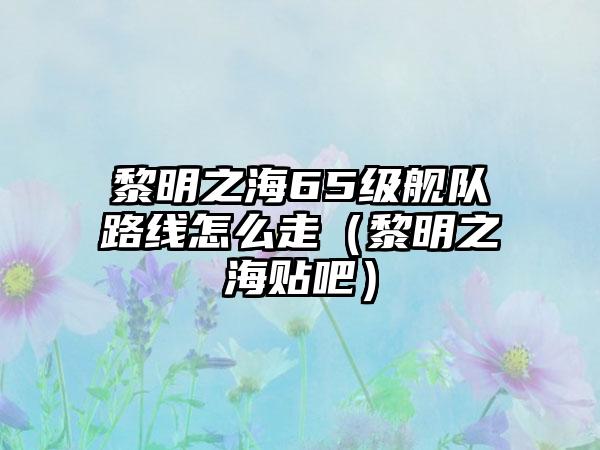 黎明之海65级舰队路线怎么走（黎明之海贴吧）