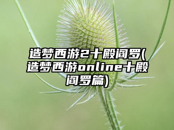 造梦西游2十殿阎罗(造梦西游online十殿阎罗篇)