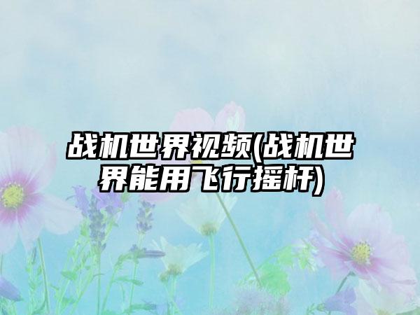 战机世界视频(战机世界能用飞行摇杆)