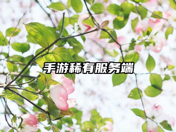 手游稀有服务端