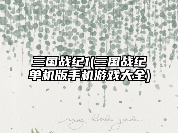 三国战纪1(三国战纪单机版手机游戏大全)