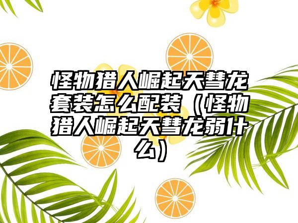 怪物猎人崛起天彗龙套装怎么配装（怪物猎人崛起天彗龙弱什么）