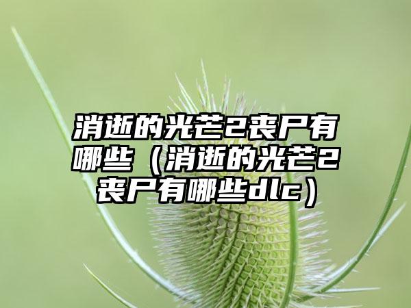 消逝的光芒2丧尸有哪些（消逝的光芒2丧尸有哪些dlc）