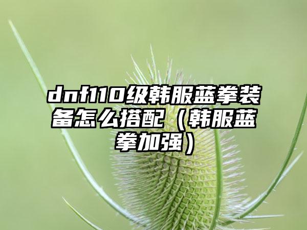 dnf110级韩服蓝拳装备怎么搭配（韩服蓝拳加强）