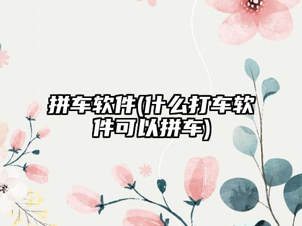 拼车软件(什么打车软件可以拼车)