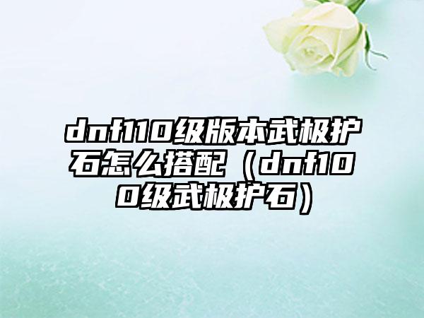 dnf110级版本武极护石怎么搭配（dnf100级武极护石）