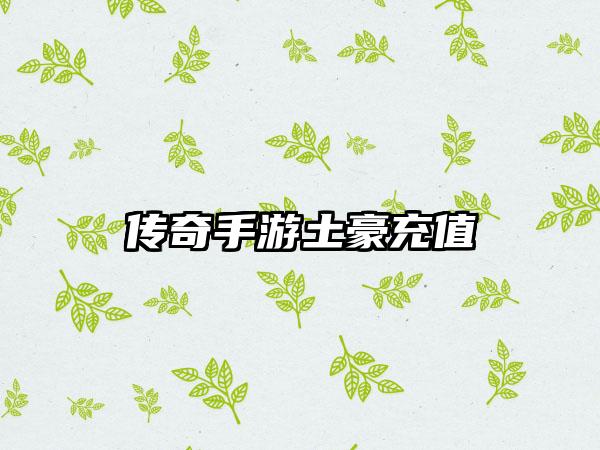 传奇手游土豪充值