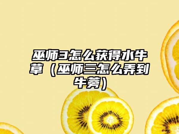 巫师3怎么获得水牛草（巫师三怎么弄到牛蒡）