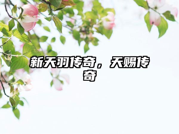 新天羽传奇，天赐传奇